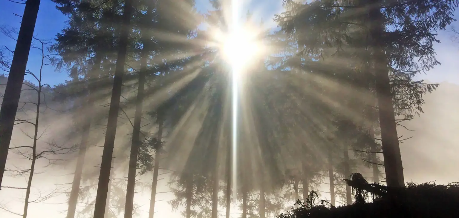 Privatwaldgemeinschaft Oberammergau Hero Header Start 02